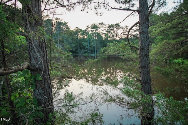 view of landscape featuring a water view