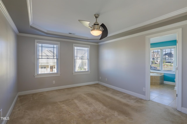 spare room featuring ornamental molding, light carpet, and a raised ceiling