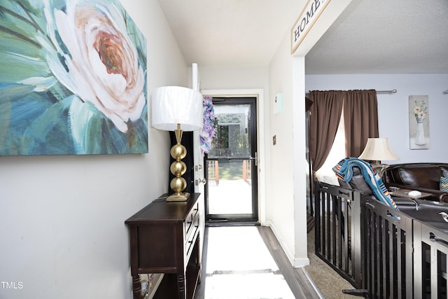 foyer featuring hardwood / wood-style floors