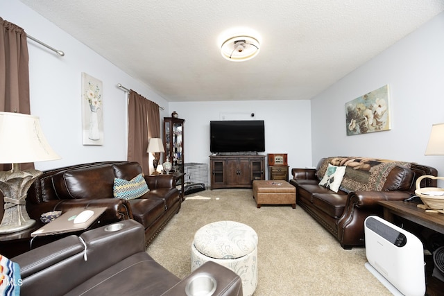 carpeted living room featuring a textured ceiling