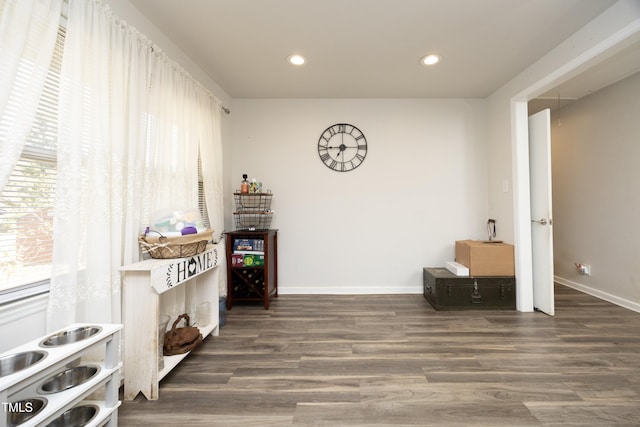 interior space featuring dark hardwood / wood-style floors