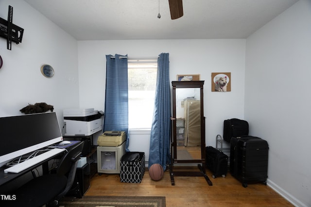 office space with ceiling fan and hardwood / wood-style floors