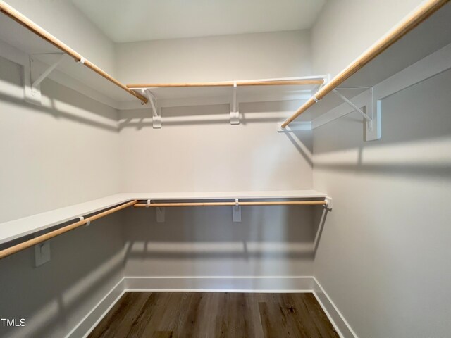 spacious closet featuring dark hardwood / wood-style floors