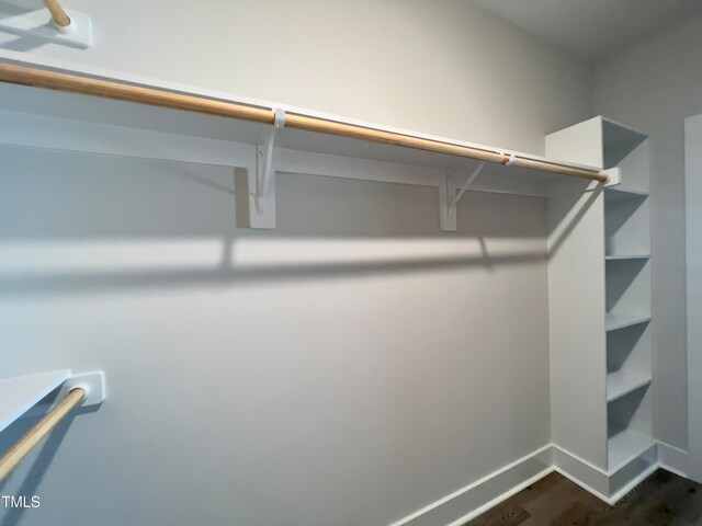 spacious closet featuring dark hardwood / wood-style flooring