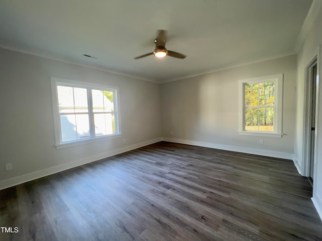 spare room featuring dark wood-type flooring, a wealth of natural light, and ornamental molding