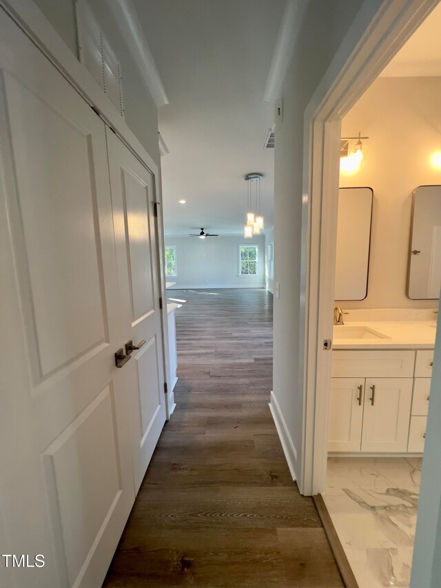 corridor featuring sink and wood-type flooring