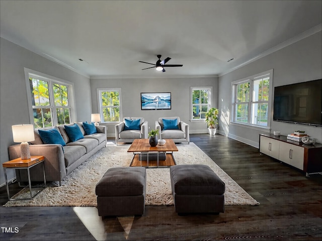 living room with dark wood-type flooring, ornamental molding, plenty of natural light, and ceiling fan