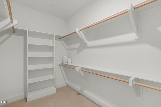 walk in closet featuring light colored carpet