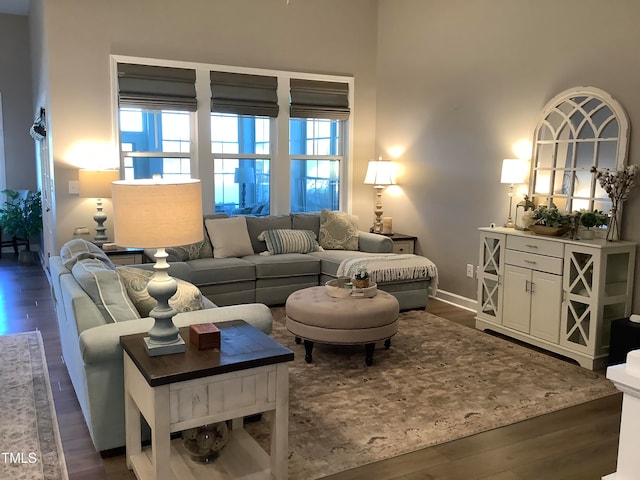 living room featuring dark hardwood / wood-style flooring