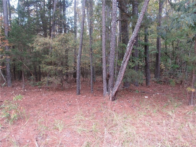 914 Taylors Chapel Rd, Sanford, NC 27330 - photo 1