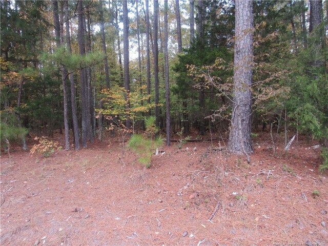 914 Taylors Chapel Rd, Sanford, NC 27330 - photo 3
