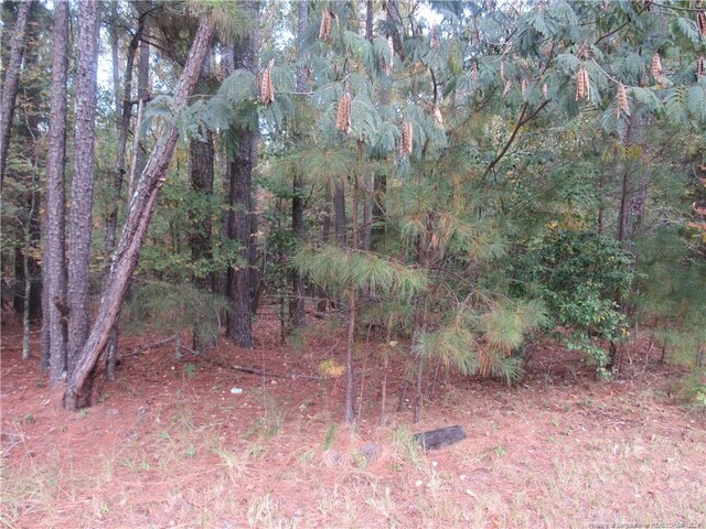 914 Taylors Chapel Rd, Sanford, NC 27330 - photo 4