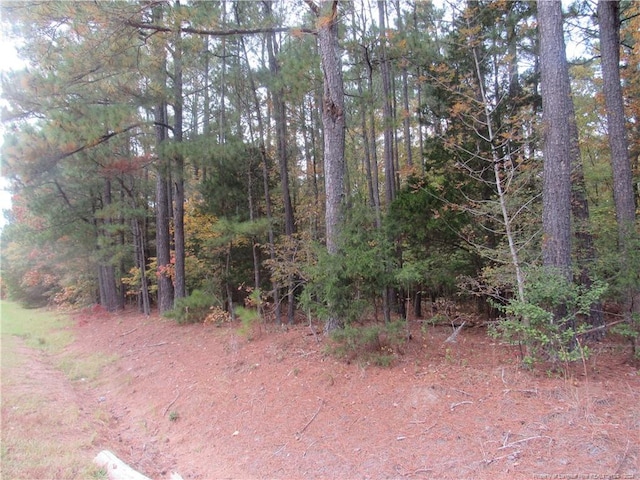 Listing photo 2 for 0 Taylors Chapel Rd, Sanford NC 27330