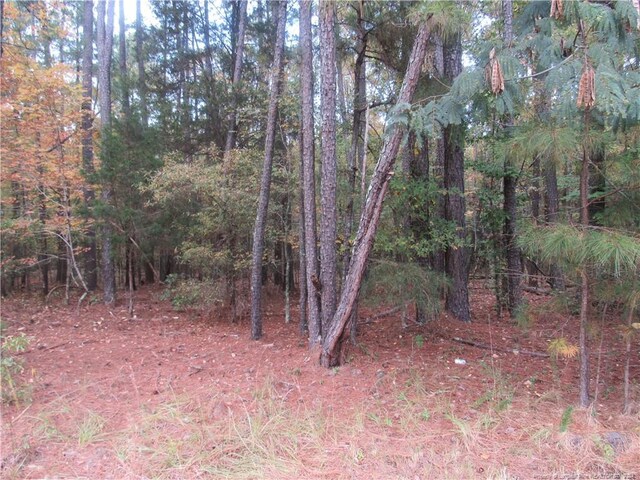 914 Taylors Chapel Rd, Sanford, NC 27330 - photo 6