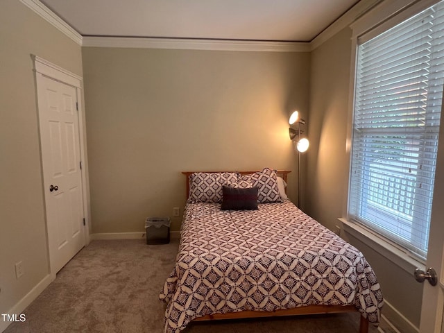 bedroom with crown molding, multiple windows, and carpet