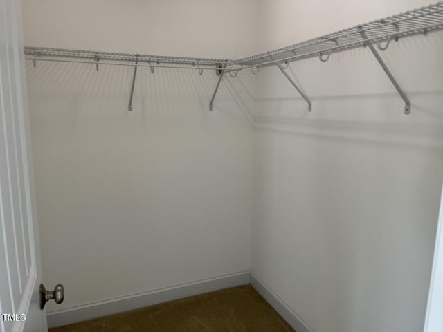 view of walk in closet