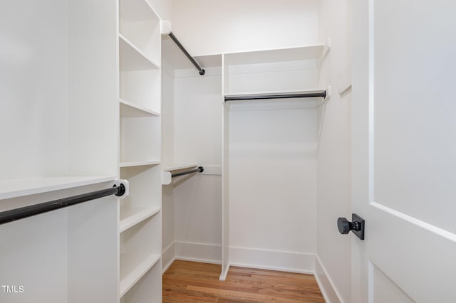 spacious closet with light wood-type flooring