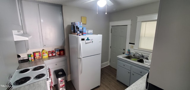 kitchen with dark hardwood / wood-style flooring, extractor fan, ceiling fan, sink, and white appliances