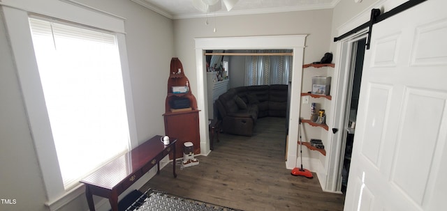 corridor featuring ornamental molding, a barn door, and dark wood-type flooring