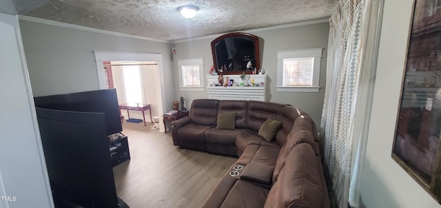 living room featuring light hardwood / wood-style floors, a textured ceiling, and ornamental molding