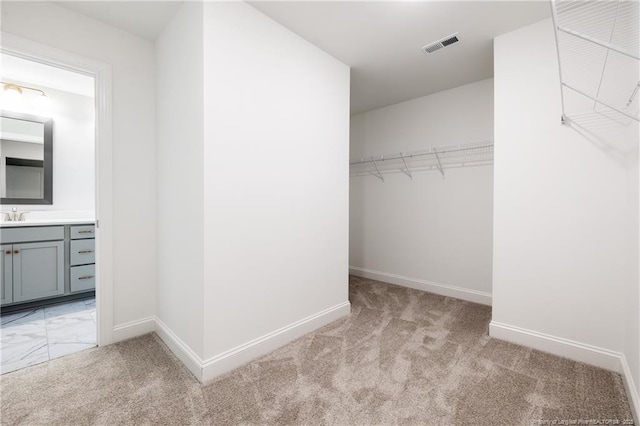 spacious closet with sink and light colored carpet