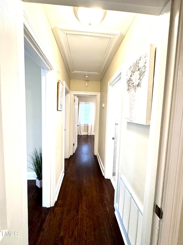 hallway featuring dark wood-type flooring