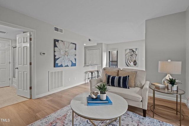 living room with wood-type flooring