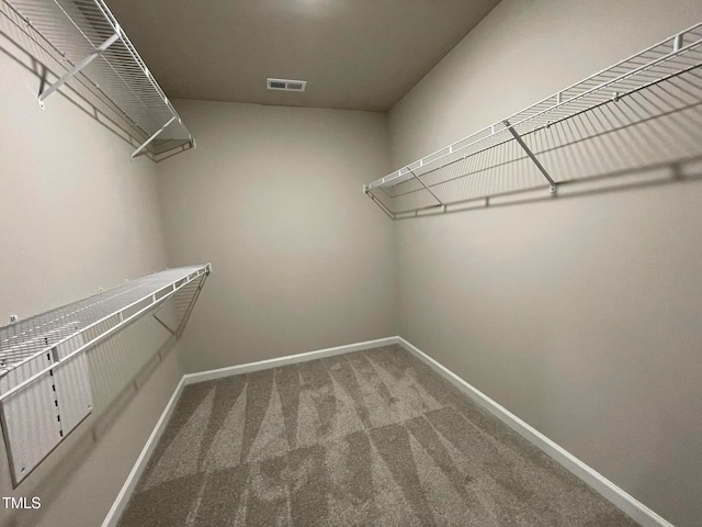 walk in closet featuring carpet floors