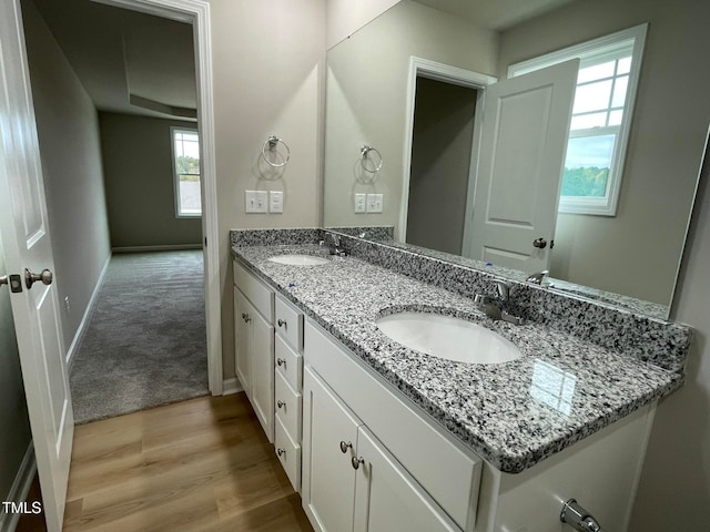 bathroom with vanity and wood-type flooring