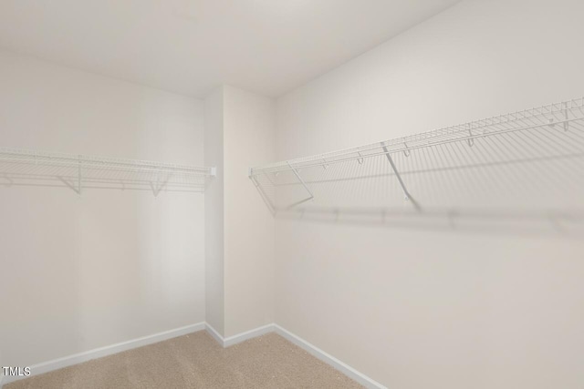 spacious closet with carpet