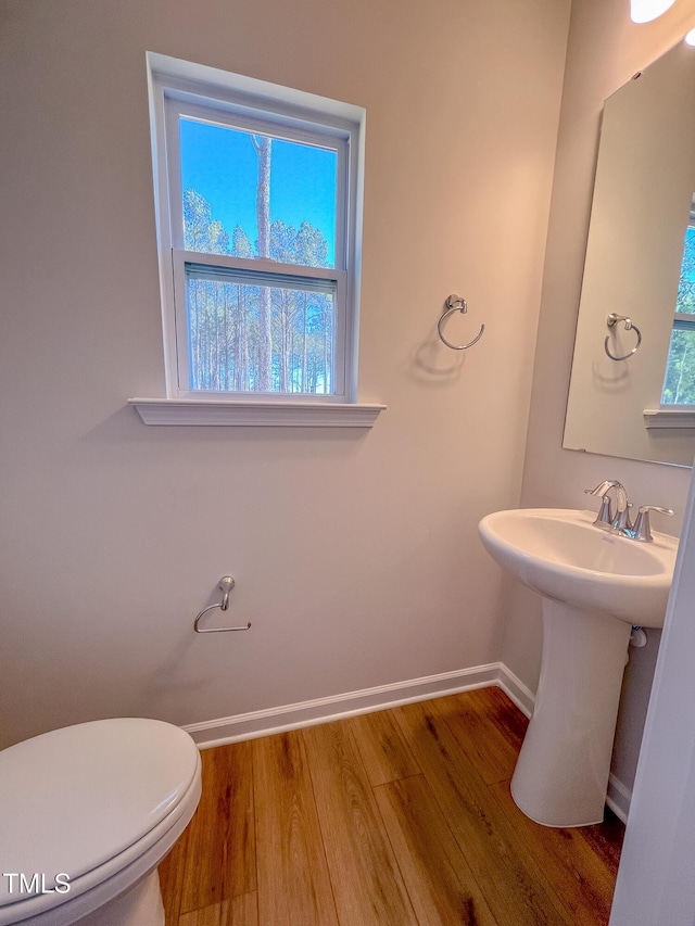 bathroom with hardwood / wood-style flooring, sink, and toilet