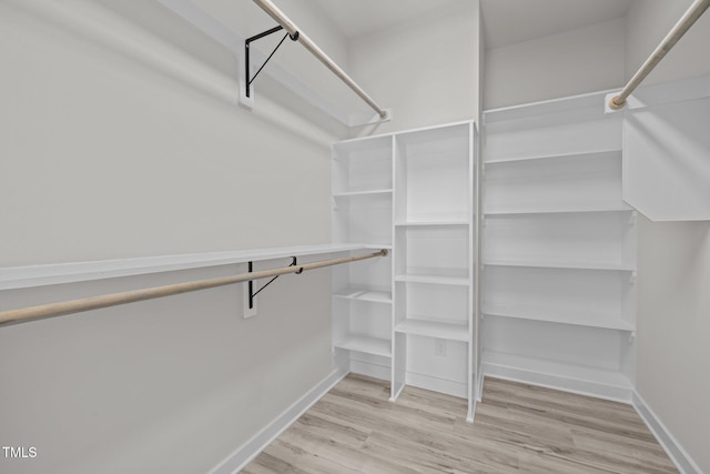 spacious closet with wood-type flooring