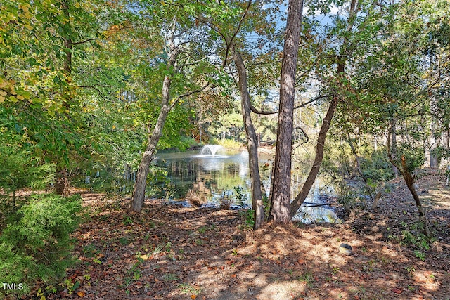 view of yard with a water view