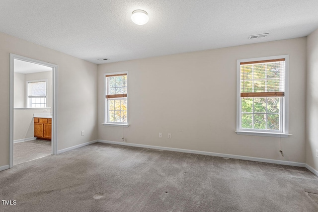 empty room featuring a textured ceiling, light colored carpet, and a healthy amount of sunlight