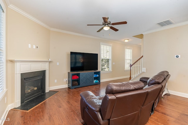 living room with ceiling fan, wood-type flooring, and ornamental molding