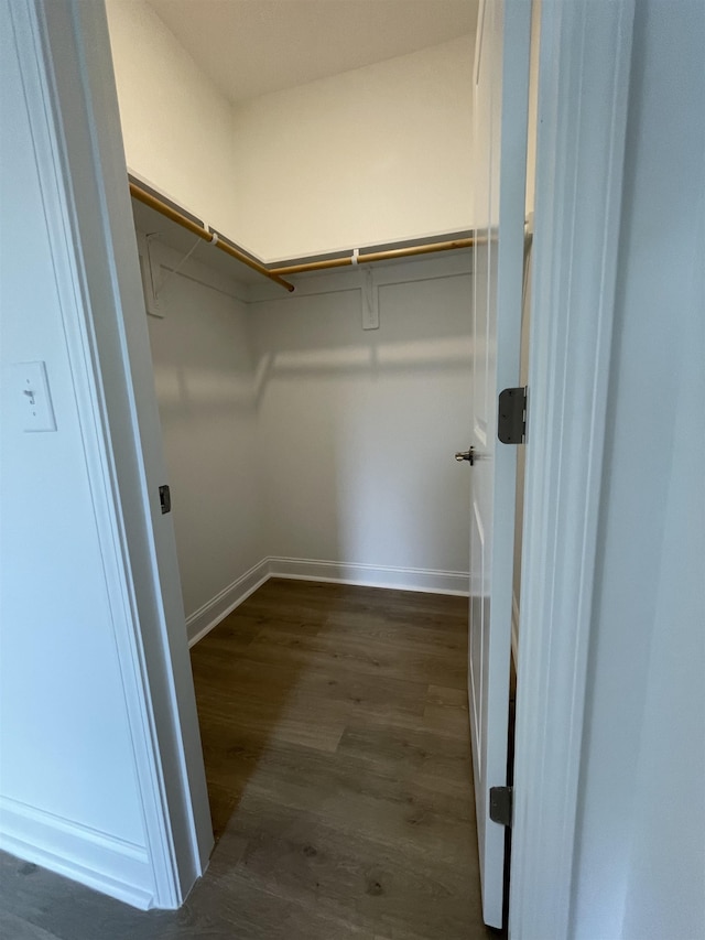 spacious closet featuring dark wood-type flooring