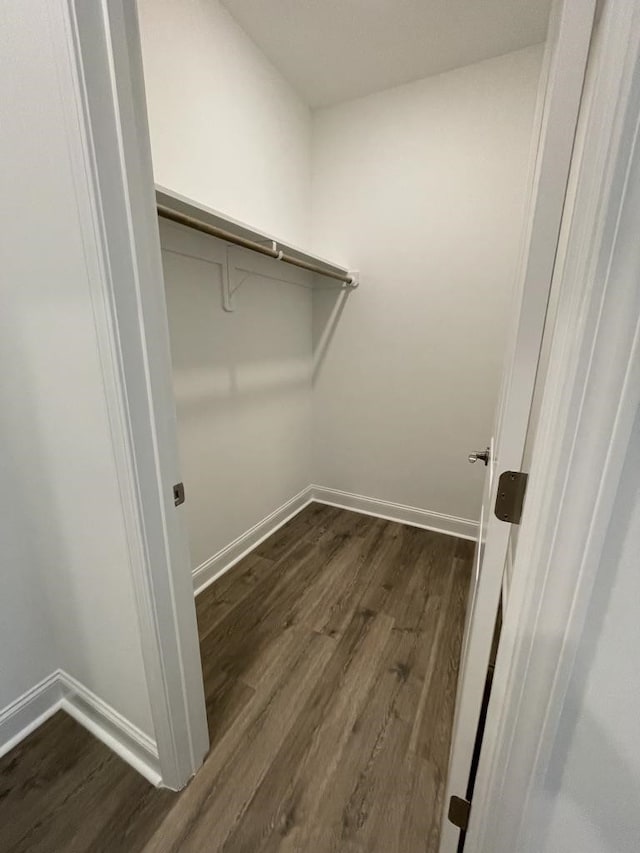 spacious closet featuring dark wood-type flooring