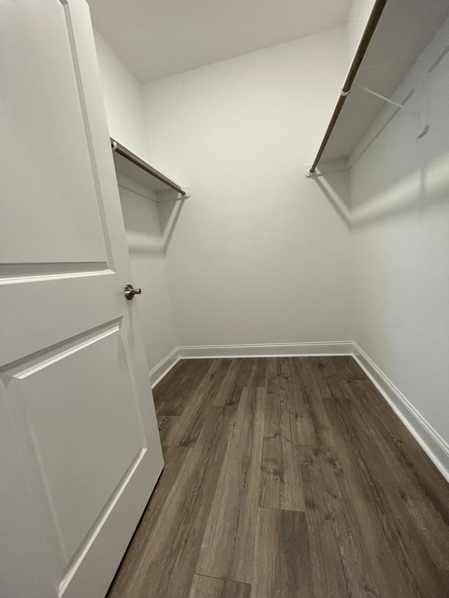 walk in closet with dark hardwood / wood-style flooring