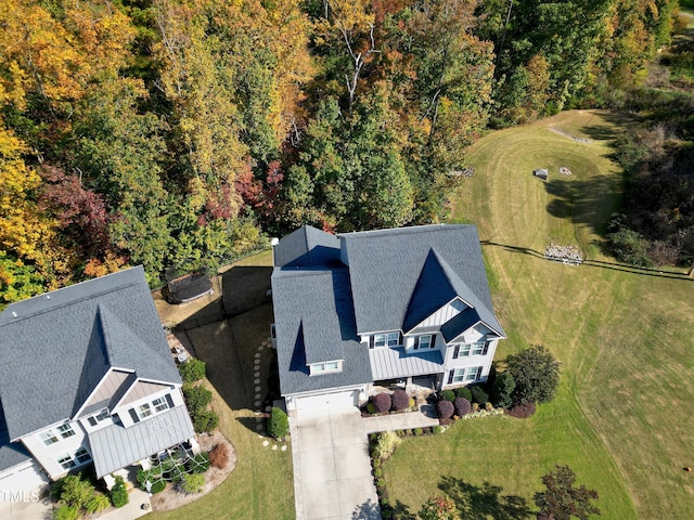 drone / aerial view