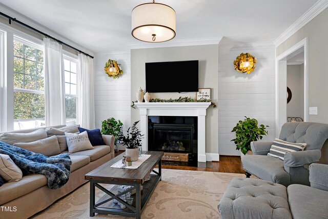 living room with ornamental molding and hardwood / wood-style floors