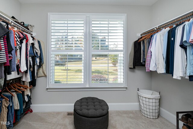 spacious closet featuring carpet flooring and visible vents