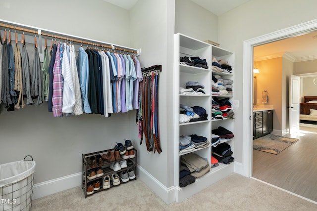 spacious closet with carpet