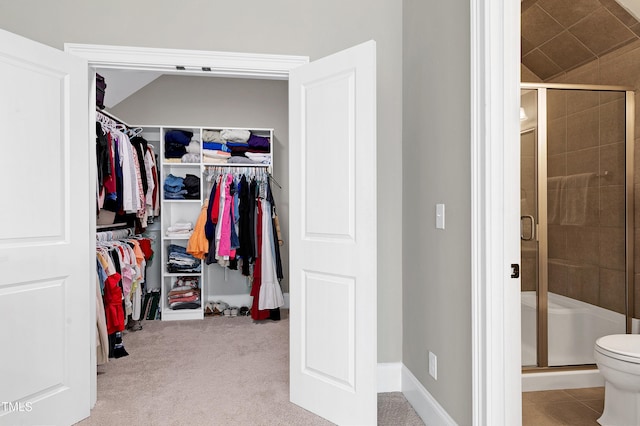 interior space featuring carpet
