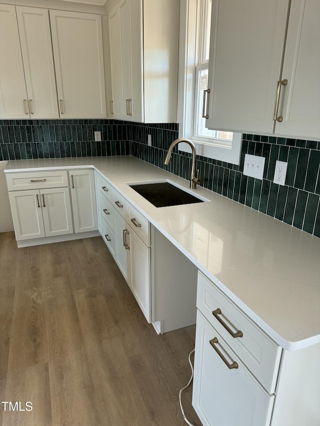 kitchen featuring a sink, decorative backsplash, and wood finished floors