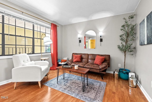 living room with hardwood / wood-style flooring and ornamental molding