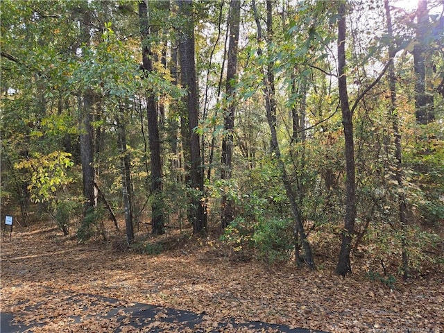 Listing photo 2 for LOT47A Cypress Creek Cor, Woodlake NC 28394