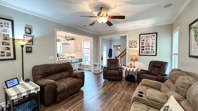 living room featuring ornamental molding, dark hardwood / wood-style flooring, and ceiling fan with notable chandelier