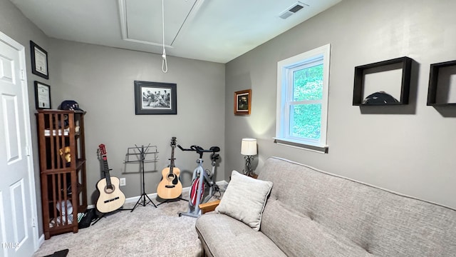 sitting room with carpet floors