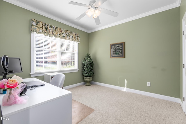 office featuring crown molding, carpet, and ceiling fan