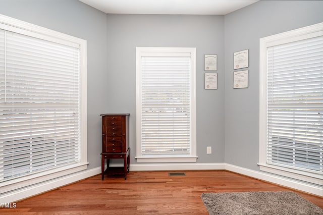 unfurnished room featuring wood-type flooring and plenty of natural light